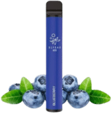 Elfbar 600 - Blaubeere - Nikotinfreie Elf Bar Einweg E-Zigarette